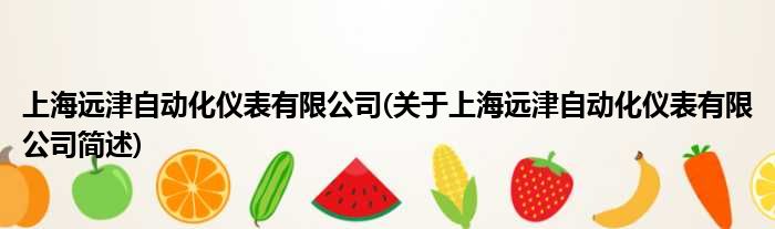 上海远津自动化仪表有限公司(对于上海远津自动化仪表有限公司简述)