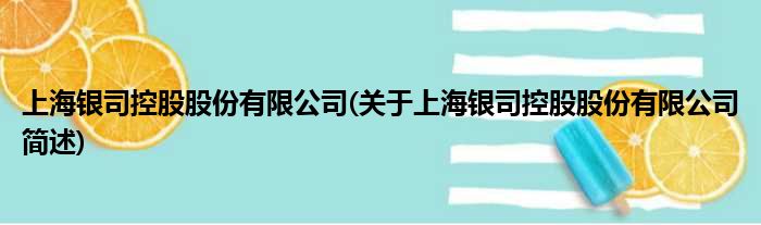 上海银司控股股份有限公司(对于上海银司控股股份有限公司简述)