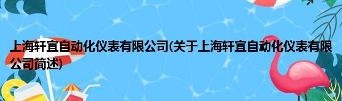 上海轩宜自动化仪表有限公司(对于上海轩宜自动化仪表有限公司简述)