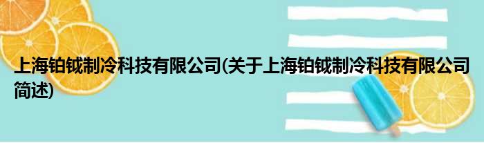 上海铂钺制冷科技有限公司(对于上海铂钺制冷科技有限公司简述)