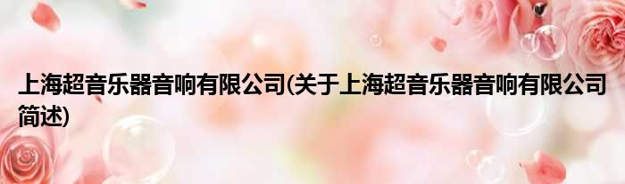 上海超音乐器声音有限公司(对于上海超音乐器声音有限公司简述)
