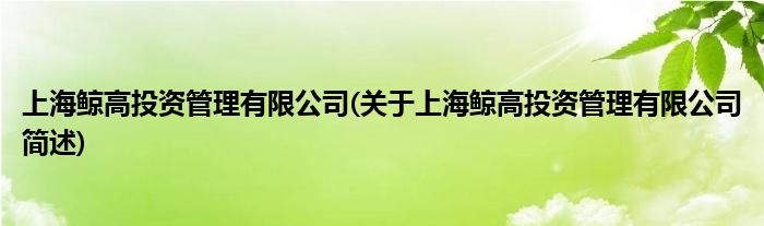 上海鲸高投资规画有限公司(对于上海鲸高投资规画有限公司简述)