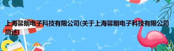 上海馨朗电子科技有限公司(对于上海馨朗电子科技有限公司简述)