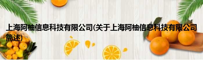 上海阿柚信息科技有限公司(对于上海阿柚信息科技有限公司简述)