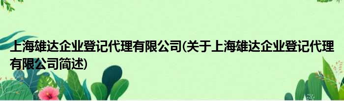 上海雄达企业挂号署理有限公司(对于上海雄达企业挂号署理有限公司简述)