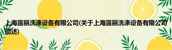 上海露丽洗涤配置装备部署有限公司(对于上海露丽洗涤配置装备部署有限公司简述)