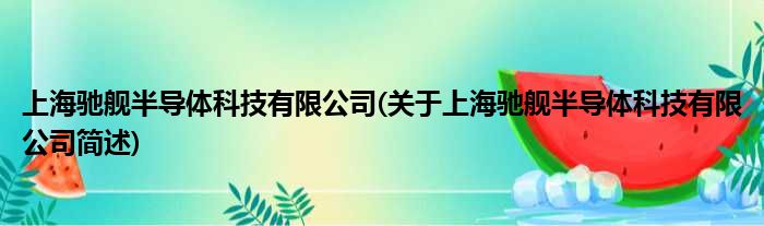 上海驰舰半导体科技有限公司(对于上海驰舰半导体科技有限公司简述)