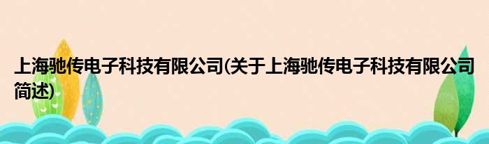 上海驰传电子科技有限公司(对于上海驰传电子科技有限公司简述)