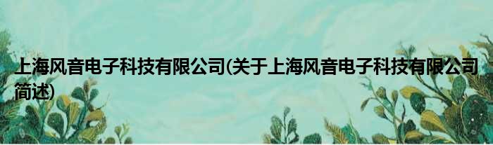 上海风音电子科技有限公司(对于上海风音电子科技有限公司简述)