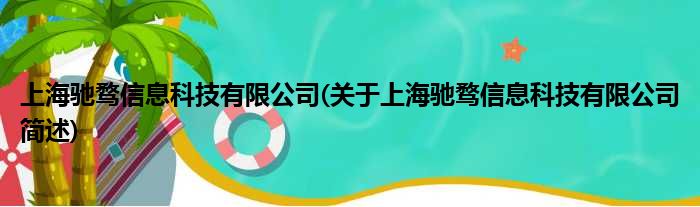 上海驰骛信息科技有限公司(对于上海驰骛信息科技有限公司简述)