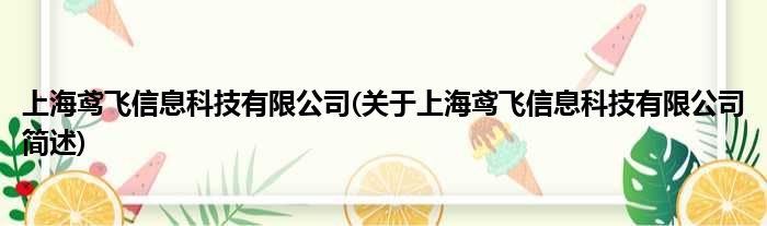 上海鸢飞信息科技有限公司(对于上海鸢飞信息科技有限公司简述)