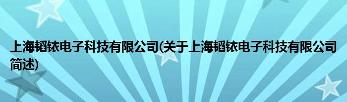 上海韬铱电子科技有限公司(对于上海韬铱电子科技有限公司简述)