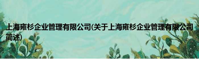 上海雍杉企业规画有限公司(对于上海雍杉企业规画有限公司简述)
