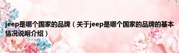 jeep是哪一个国家的品牌（对于jeep是哪一个国家的品牌的根基情景剖析介绍）