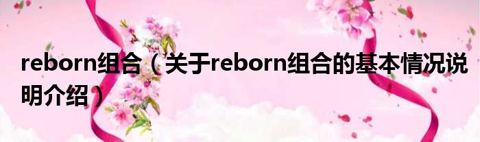 reborn组合（对于reborn组合的根基情景剖析介绍）