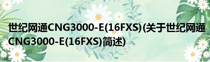 世纪网通CNG3000