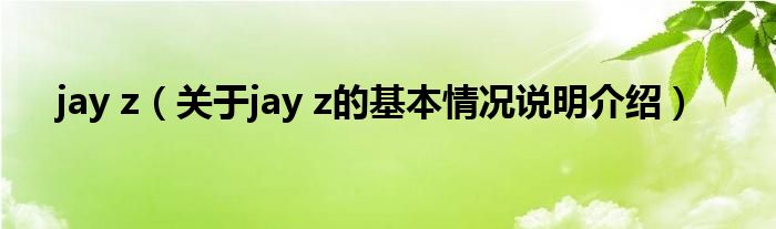 jay z（对于jay z的根基情景剖析介绍）