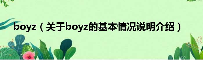 boyz（对于boyz的根基情景剖析介绍）