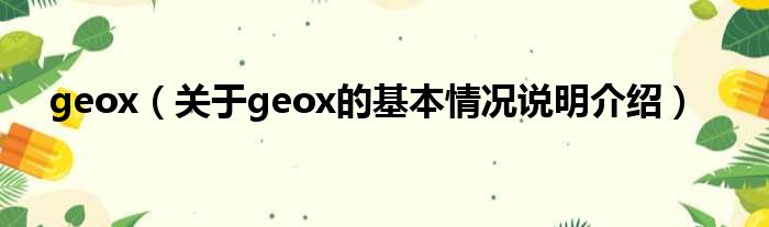 geox（对于geox的根基情景剖析介绍）