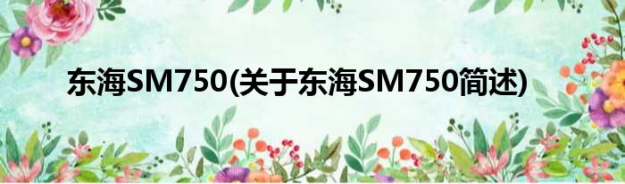 东海SM750(对于东海SM750简述)