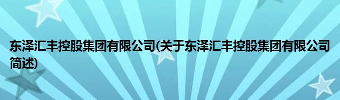 东泽汇丰控股总体有限公司(对于东泽汇丰控股总体有限公司简述)