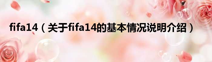 fifa14（对于fifa14的根基情景剖析介绍）