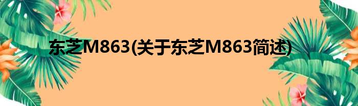 东芝M863(对于东芝M863简述)