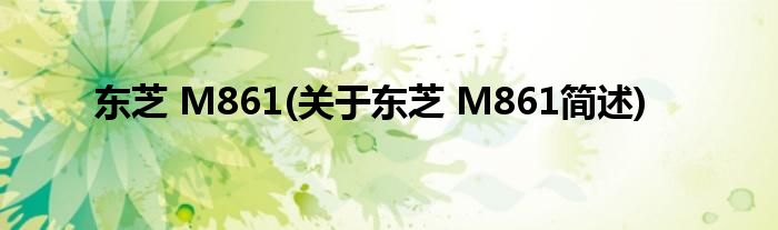 东芝 M861(对于东芝 M861简述)