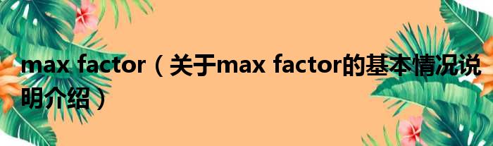 max factor（对于max factor的根基情景剖析介绍）