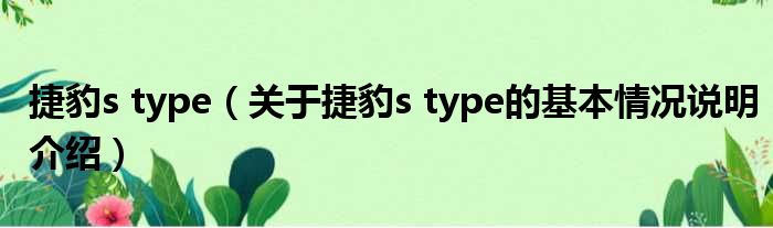捷豹s type（对于捷豹s type的根基情景剖析介绍）