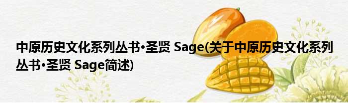 中原历史横蛮系列丛书·圣贤 Sage(对于中原历史横蛮系列丛书·圣贤 Sage简述)