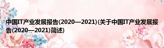 中国IT财富睁开陈说(2020—2021)(对于中国IT财富睁开陈说(2020—2021)简述)
