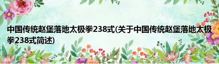 中国传统赵堡落地太极拳238式(对于中国传统赵堡落地太极拳238式简述)