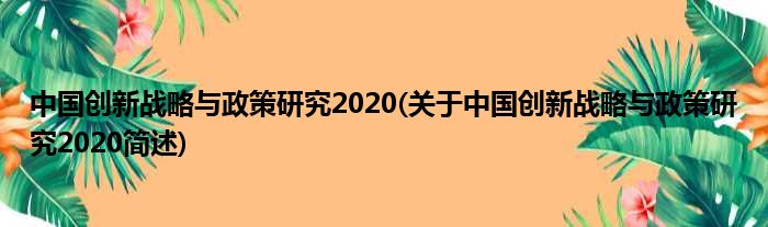 中国立异策略与政策钻研2020(对于中国立异策略与政策钻研2020简述)