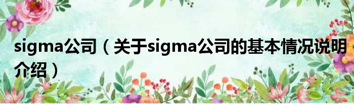 sigma公司（对于sigma公司的根基情景剖析介绍）
