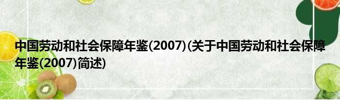 中国劳动以及社会保障年鉴(2007)(对于中国劳动以及社会保障年鉴(2007)简述)