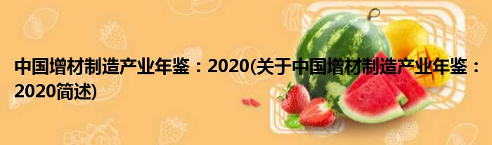 中国增材制作财富年鉴：2020(对于中国增材制作财富年鉴：2020简述)