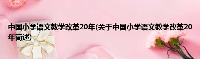 中国小学语文教学刷新20年(对于中国小学语文教学刷新20年简述)