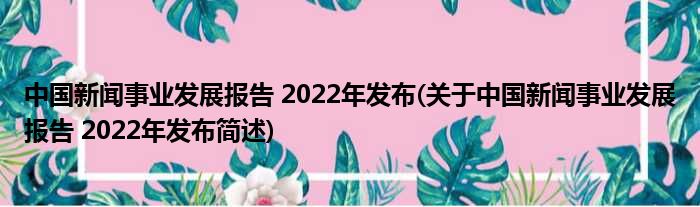 中国往事事业睁开陈说 2022年宣告(对于中国往事事业睁开陈说 2022年宣告简述)