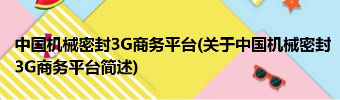 中国机械密封3G商务平台(对于中国机械密封3G商务平台简述)