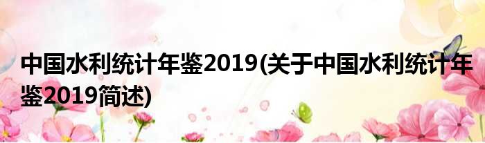 中国水利统计年鉴2019(对于中国水利统计年鉴2019简述)