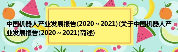 中国机械人财富睁开陈说(2020～2021)(对于中国机械人财富睁开陈说(2020～2021)简述)