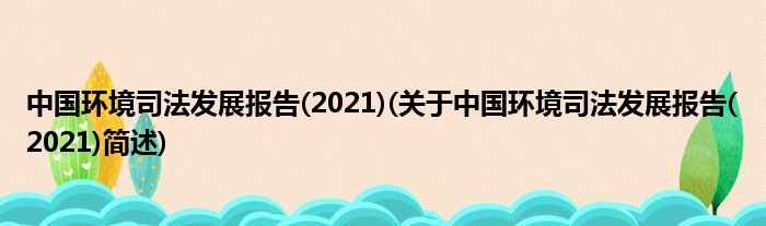 中国情景法律睁开陈说(2021)(对于中国情景法律睁开陈说(2021)简述)