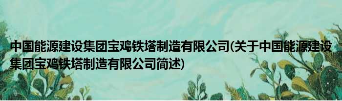 中国能源建树总体宝鸡铁塔制作有限公司(对于中国能源建树总体宝鸡铁塔制作有限公司简述)