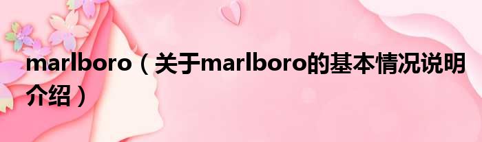 marlboro（对于marlboro的根基情景剖析介绍）