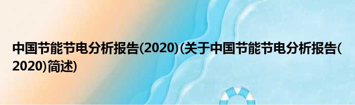 中国节能节电合成陈说(2020)(对于中国节能节电合成陈说(2020)简述)