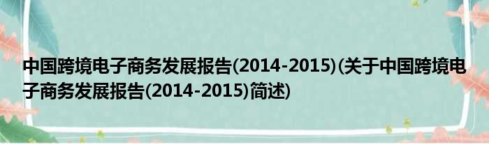 中国跨境电子商务睁开陈说(2014