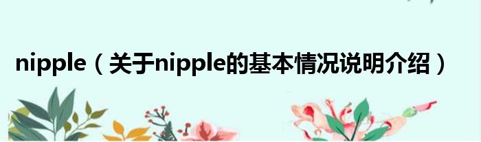 nipple（对于nipple的根基情景剖析介绍）