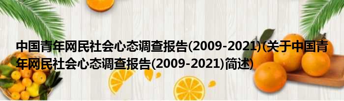 中国青年网夷易近社会意态审核陈说(2009