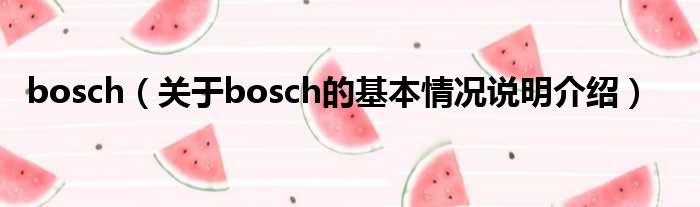 bosch（对于bosch的根基情景剖析介绍）